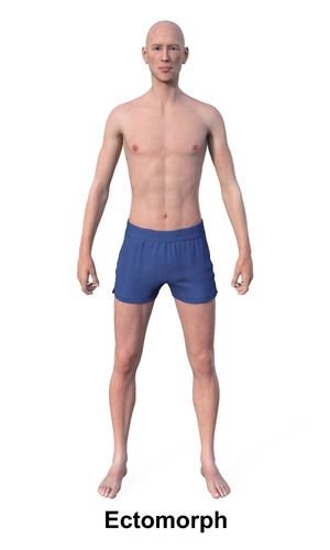Ectomorph