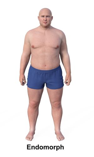 Endomorph